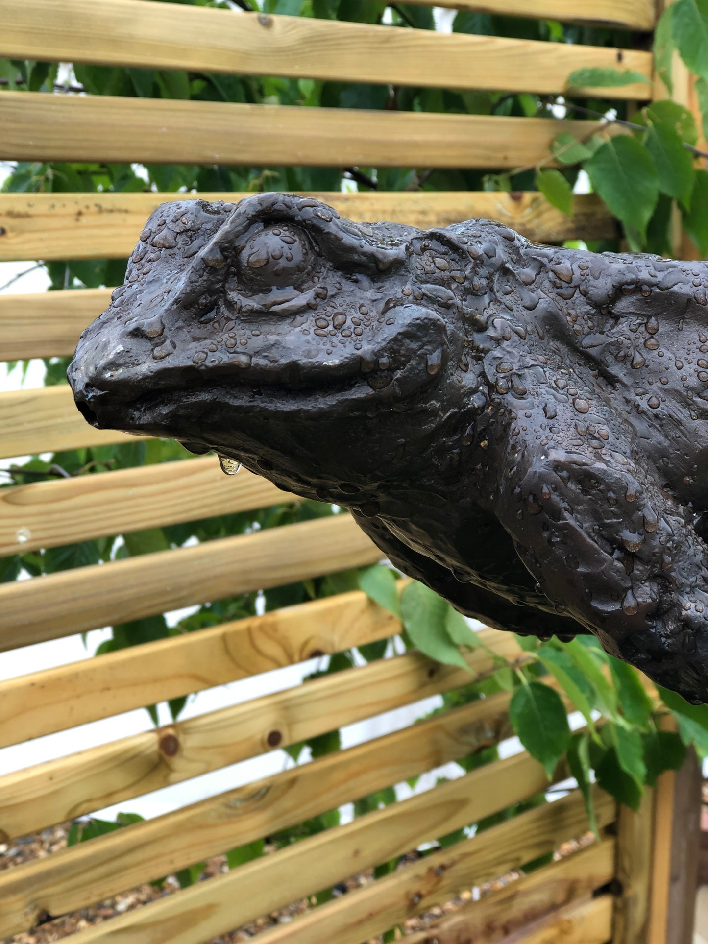 Bronze Leaping Frog Water Feature - Lost Wax Sculpture 80cm