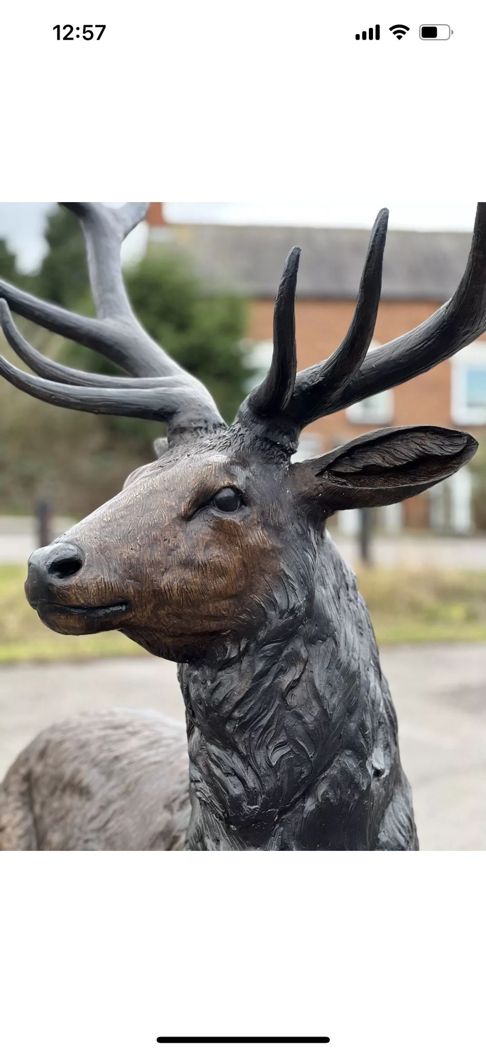 Bronze 12 point stag life size