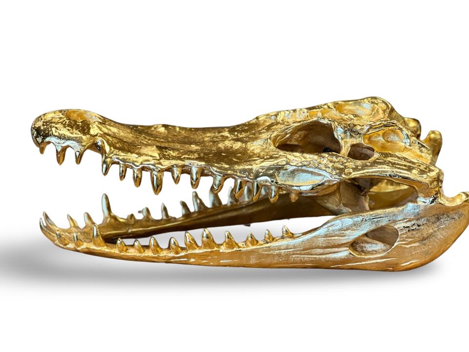 Life-Size Crocodile Skull - Cast Aluminium in Gold Finish