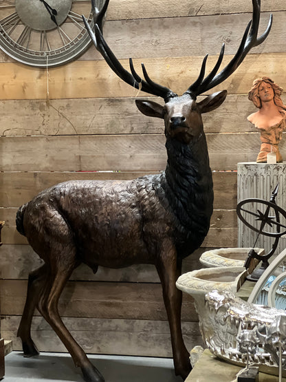 Bronze 12 point stag life size