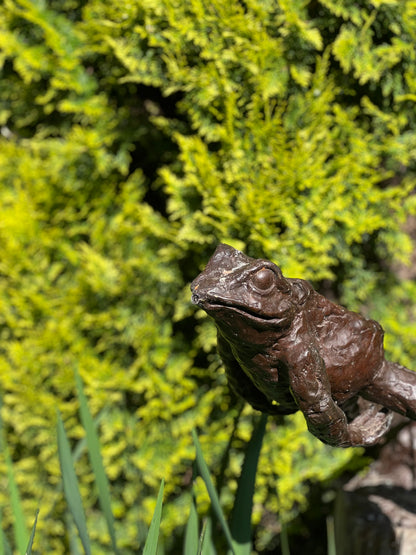 Bronze Leaping Frog Water Feature - Lost Wax Sculpture 80cm