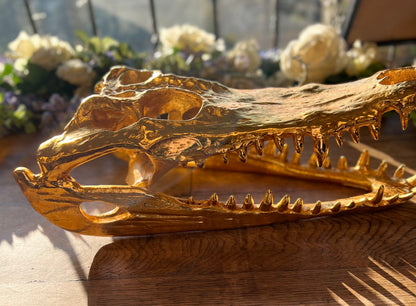 Life-Size Crocodile Skull - Cast Aluminium in Gold Finish