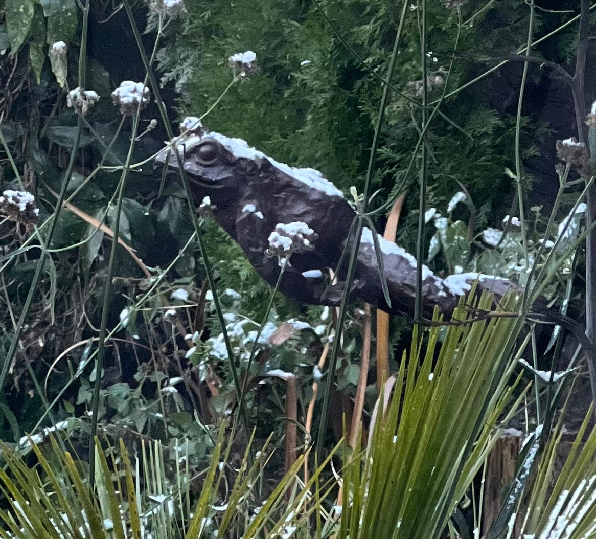 Bronze Leaping Frog Water Feature - Lost Wax Sculpture 80cm