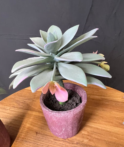 Faux succulents in clay pots set of three