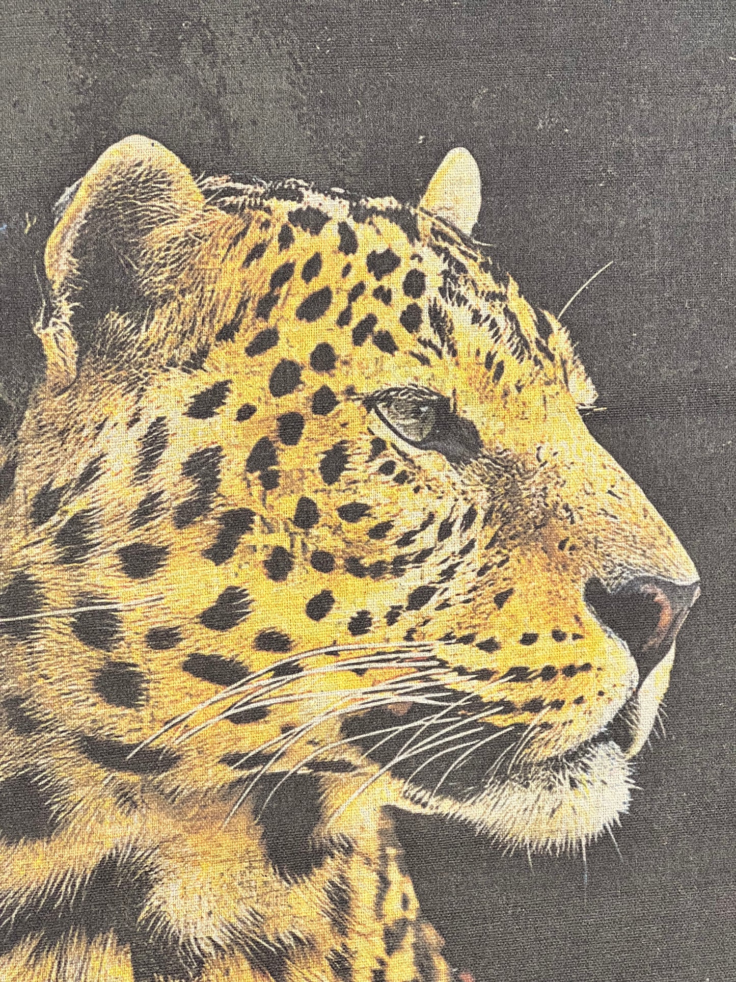 Spotted Jaguar canvas wall art 84cm