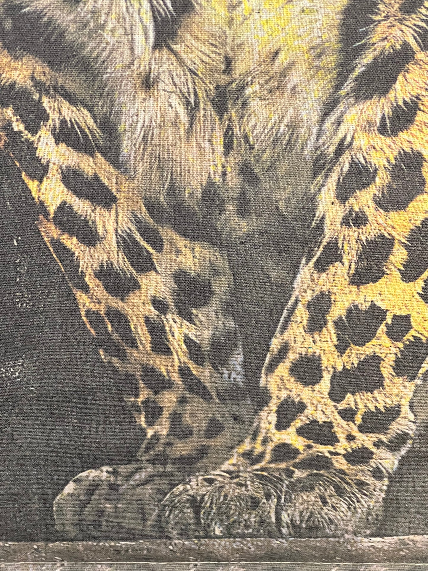 Spotted Jaguar canvas wall art 84cm