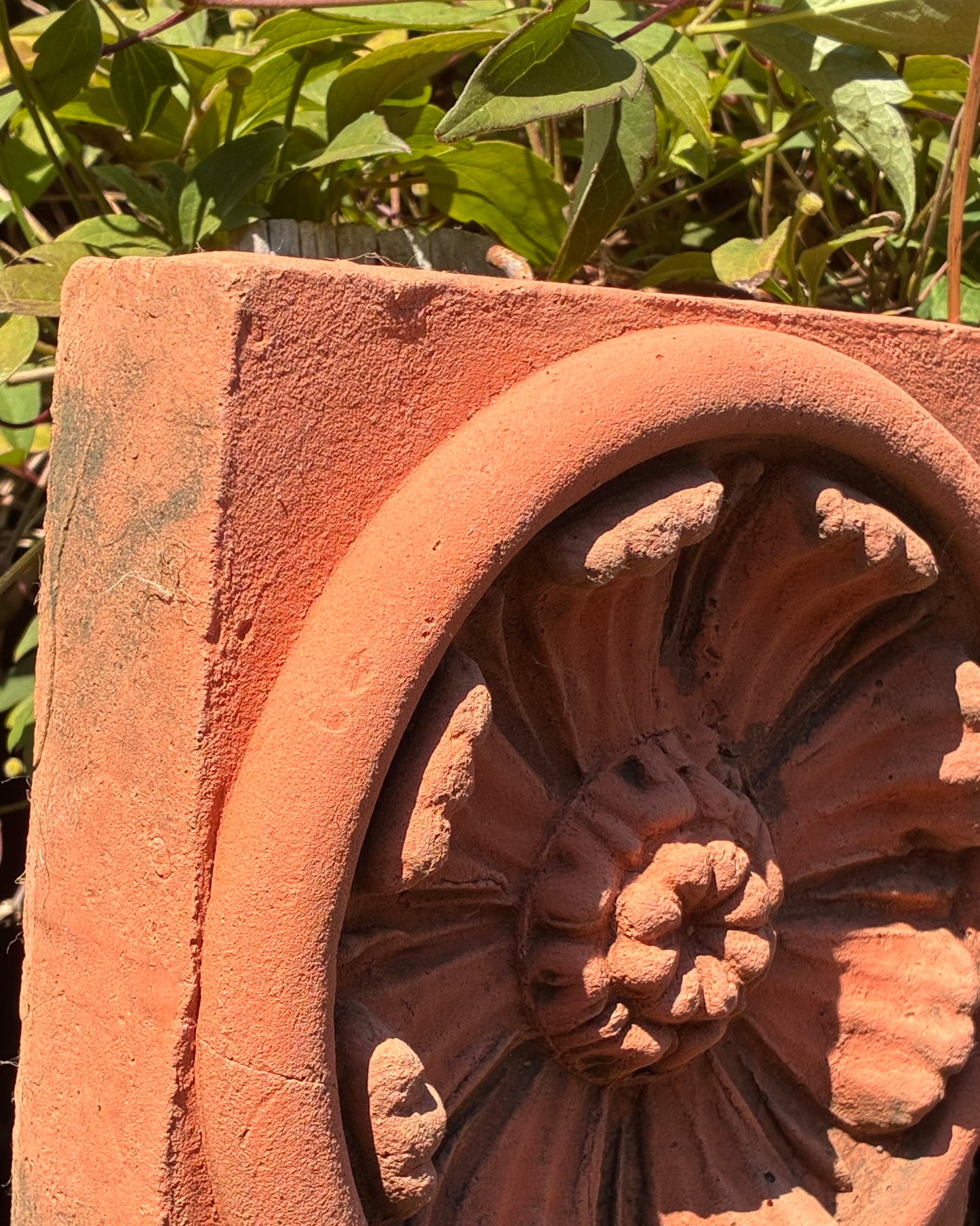 Anemone Wall Plaque | Handmade Terracotta | Windflower Garden Ornament