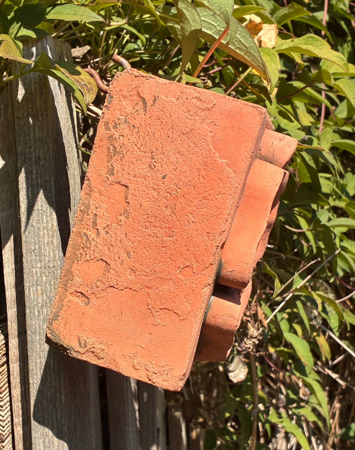 Tudor Rose Wall Plaque | Handmade Terracotta | England's National Emblem