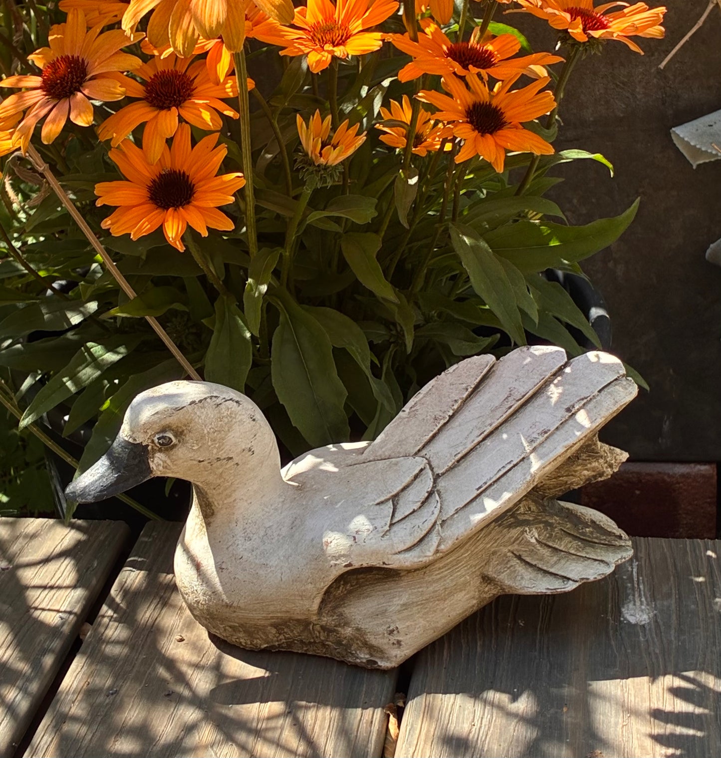 Stone Welsh Harlequin Duck Sculpture | Wings Up | Handmade Garden Ornament