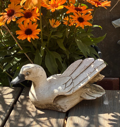 Stone Welsh Harlequin Duck Sculpture | Wings Up | Handmade Garden Ornament