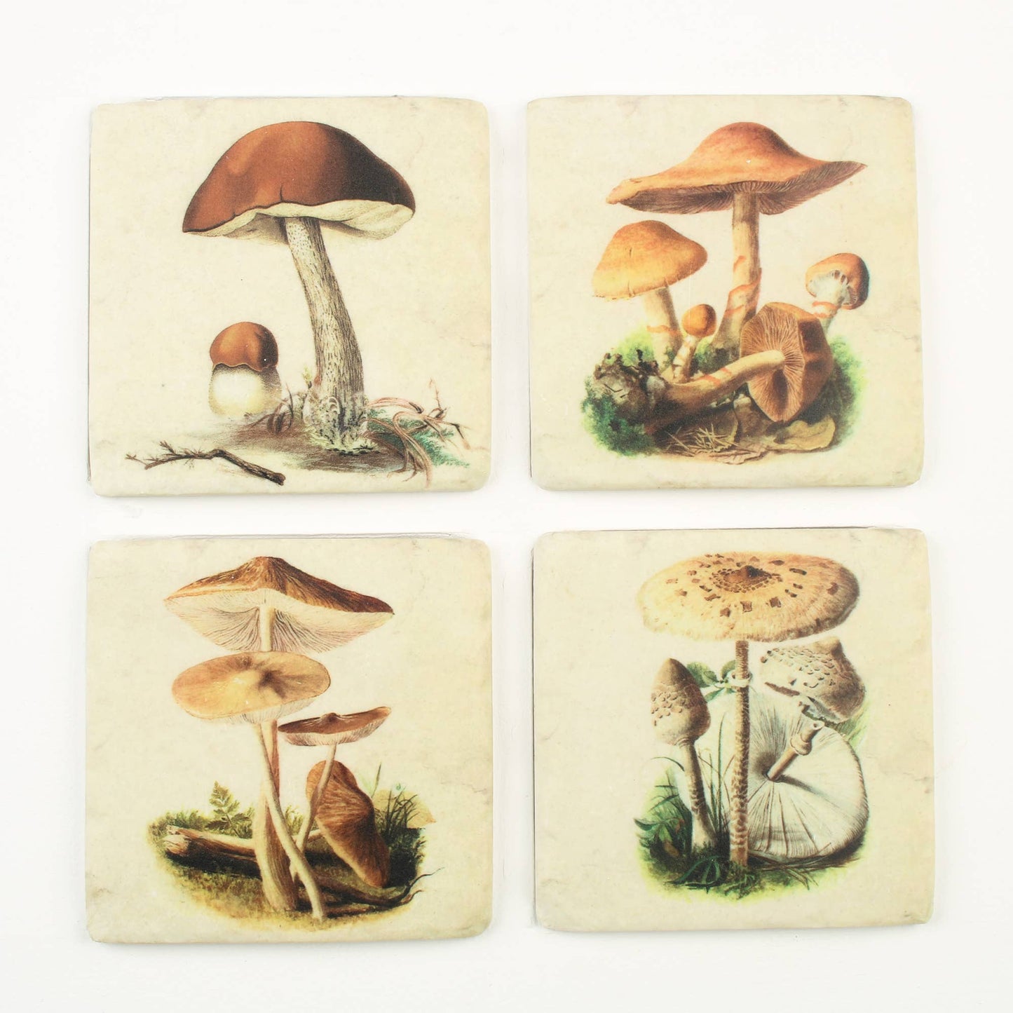 Toadstool Design Coaster Set of Four