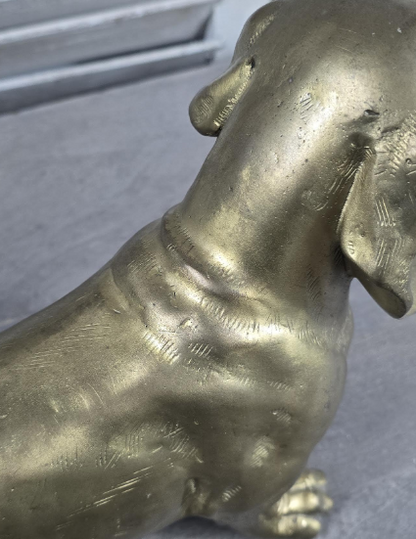 Bronze Dachshund Sculpture | Polished Gold Finish | Unique | Handcrafted