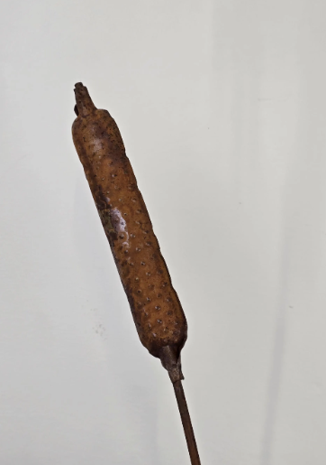 Rusty Bird on Reed | Handcrafted Garden Sculpture