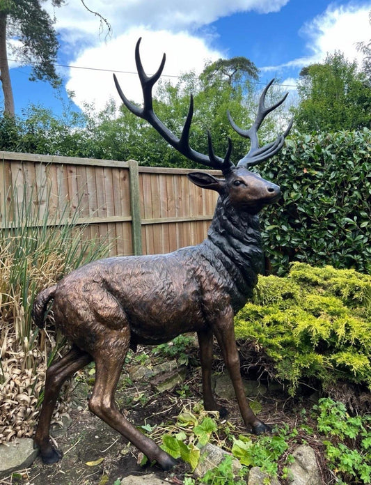 Bronze 12 point stag life size