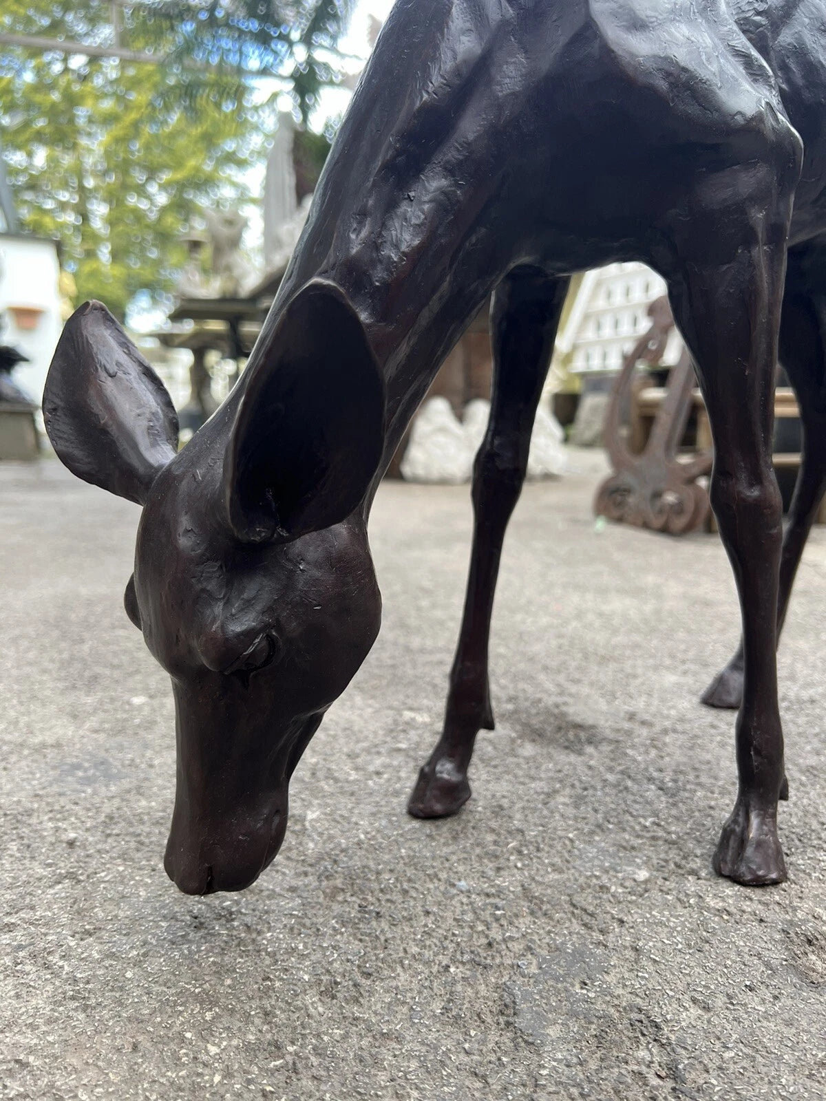 Bronze Grazing Fawn Sculpture | Lost Wax Cast | Garden & Interior