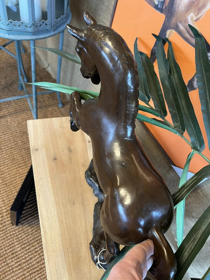 Bronze Lucky Horse Sculpture | Small | Lost Wax Cast | Indoor & Outdoor