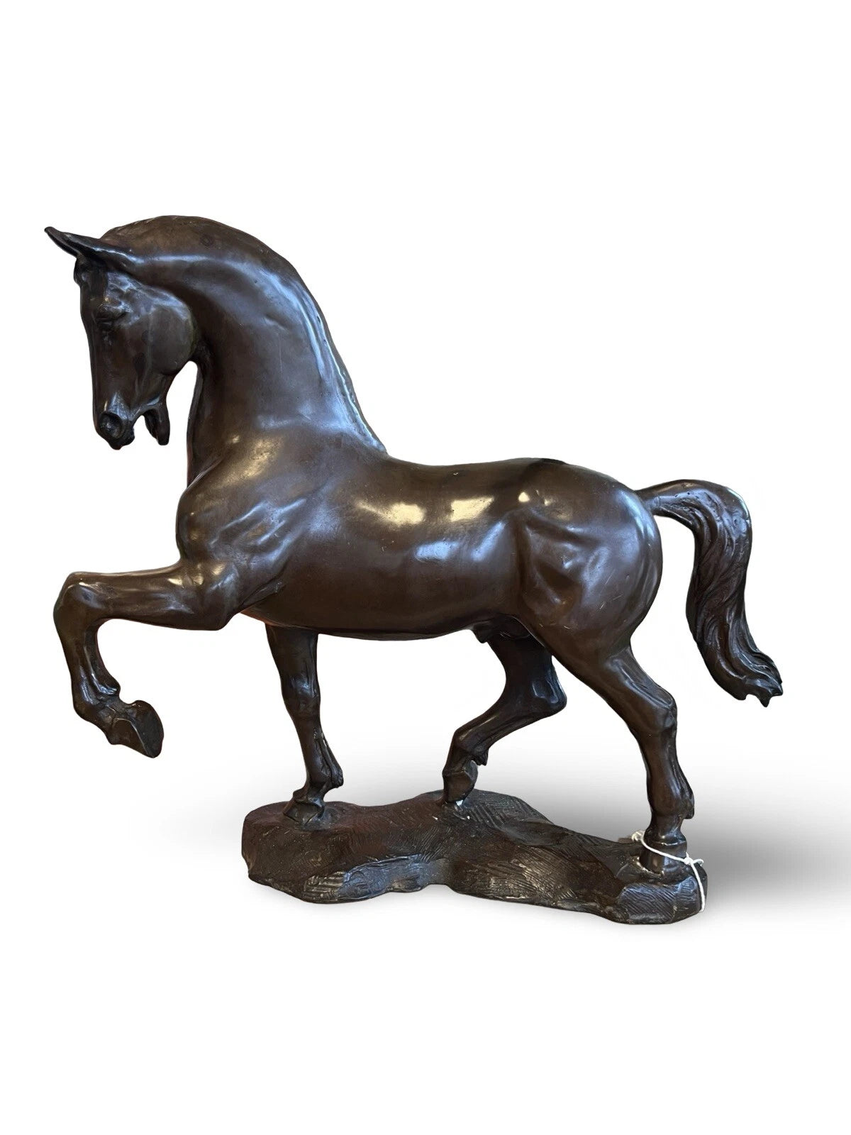 Bronze Lucky Horse Sculpture | Small | Lost Wax Cast | Indoor & Outdoor