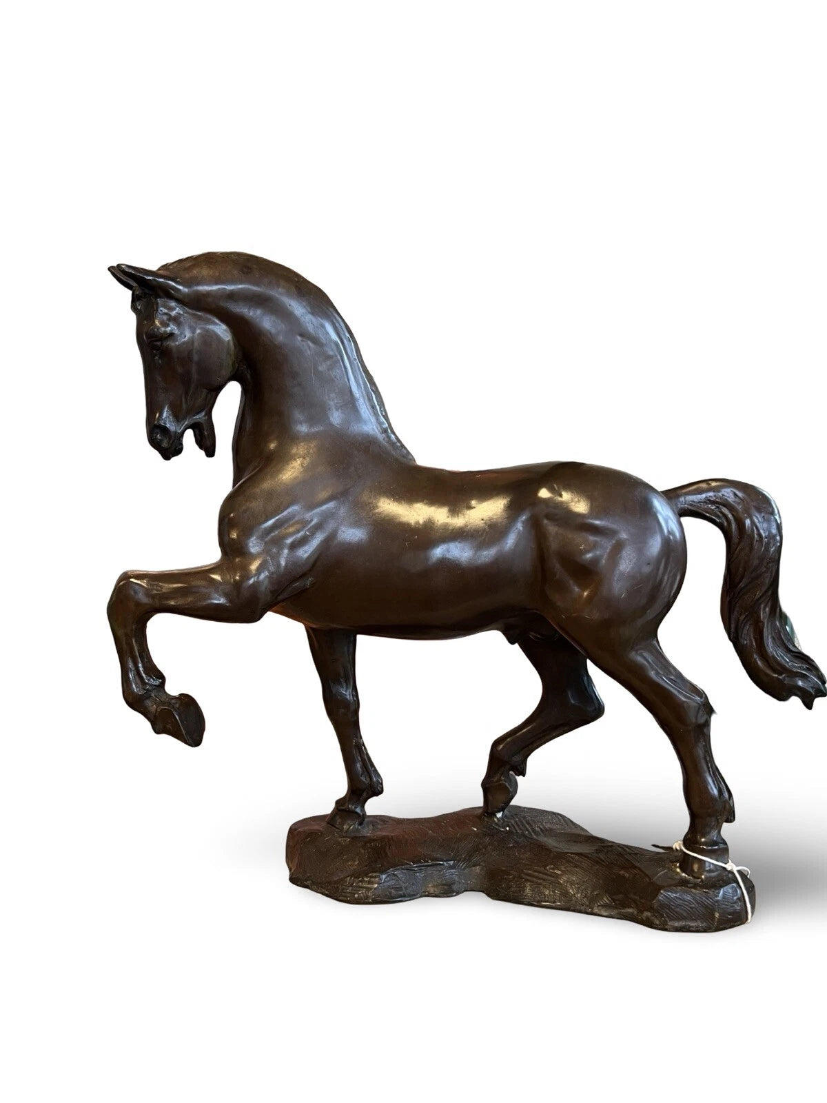 Bronze Lucky Horse Sculpture | Small | Lost Wax Cast | Indoor & Outdoor
